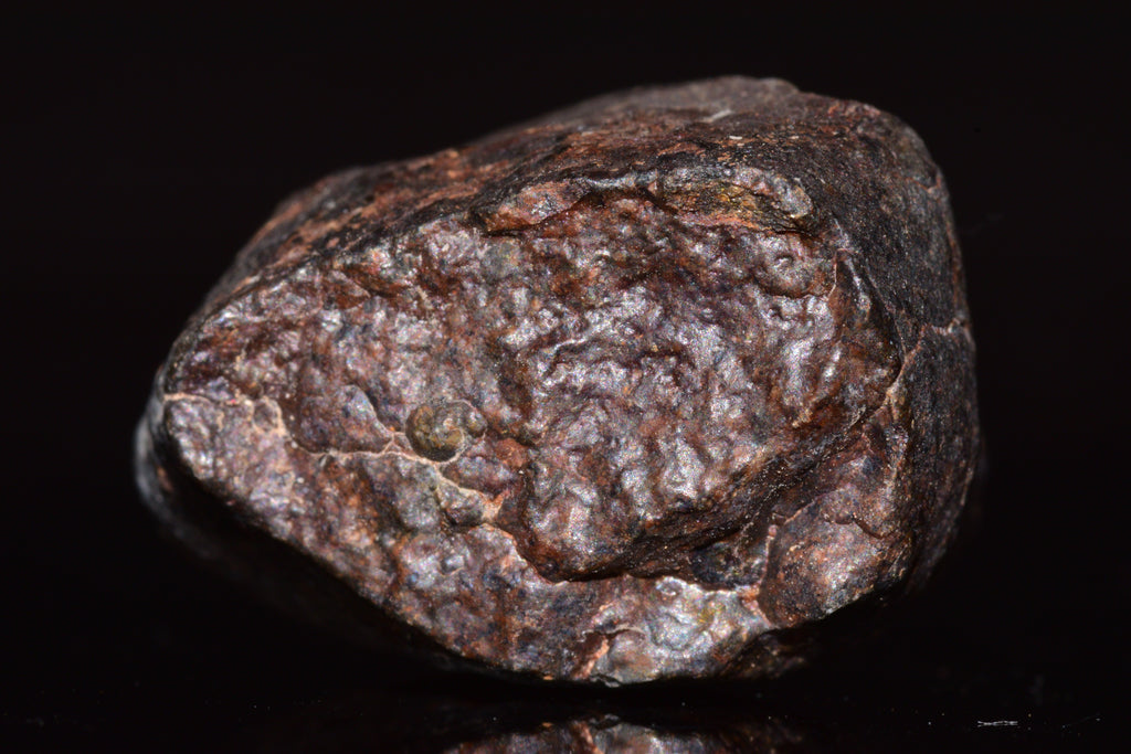 Unclassified Chondrite Meteorite Complete fragment