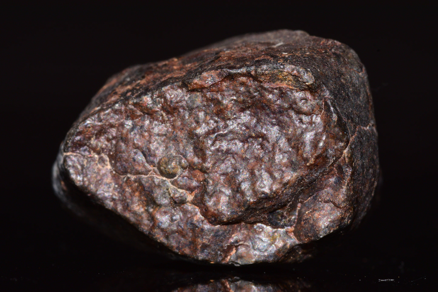Unclassified Chondrite Meteorite Complete fragment