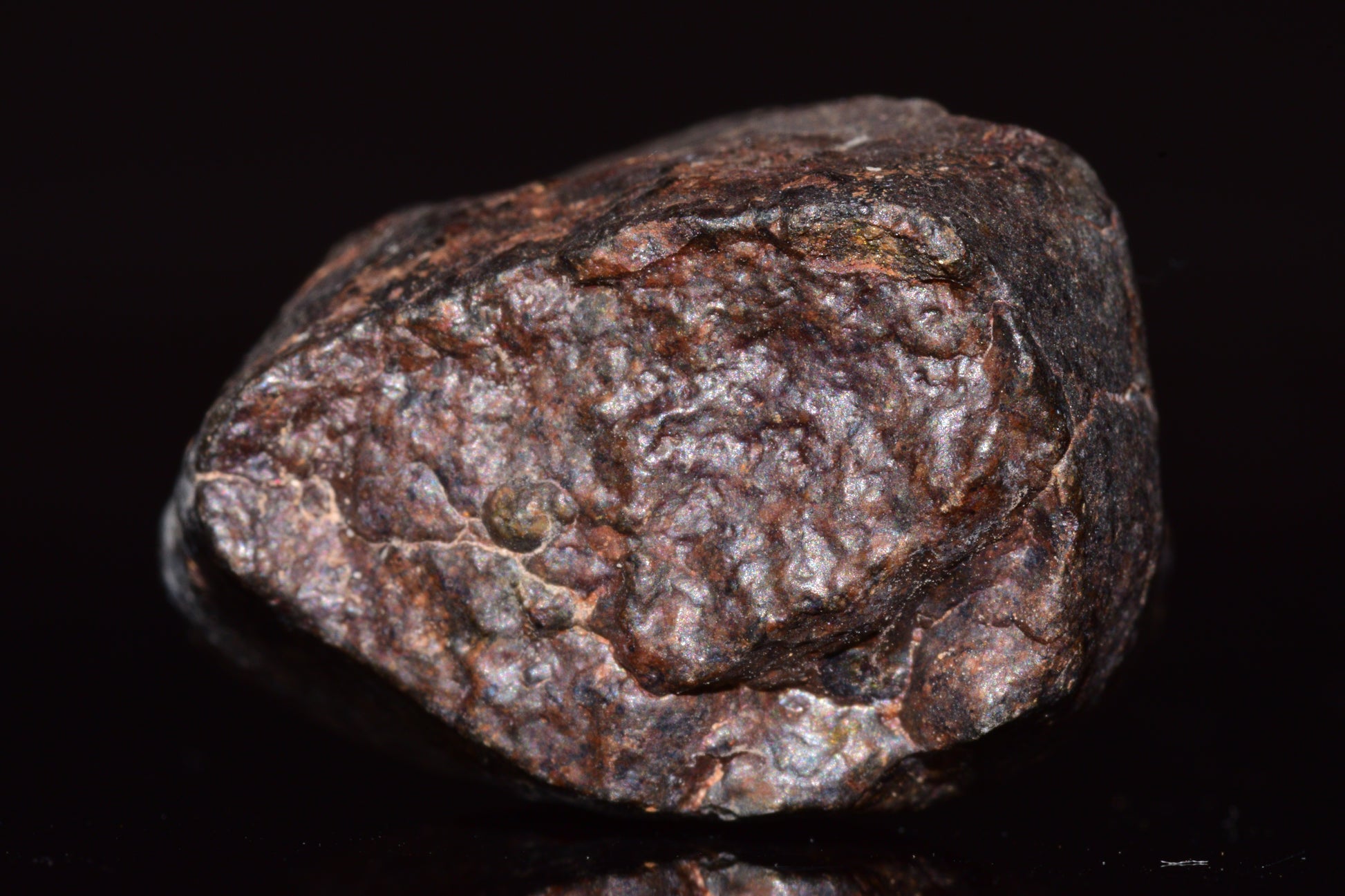 Unclassified Chondrite Meteorite Complete fragment