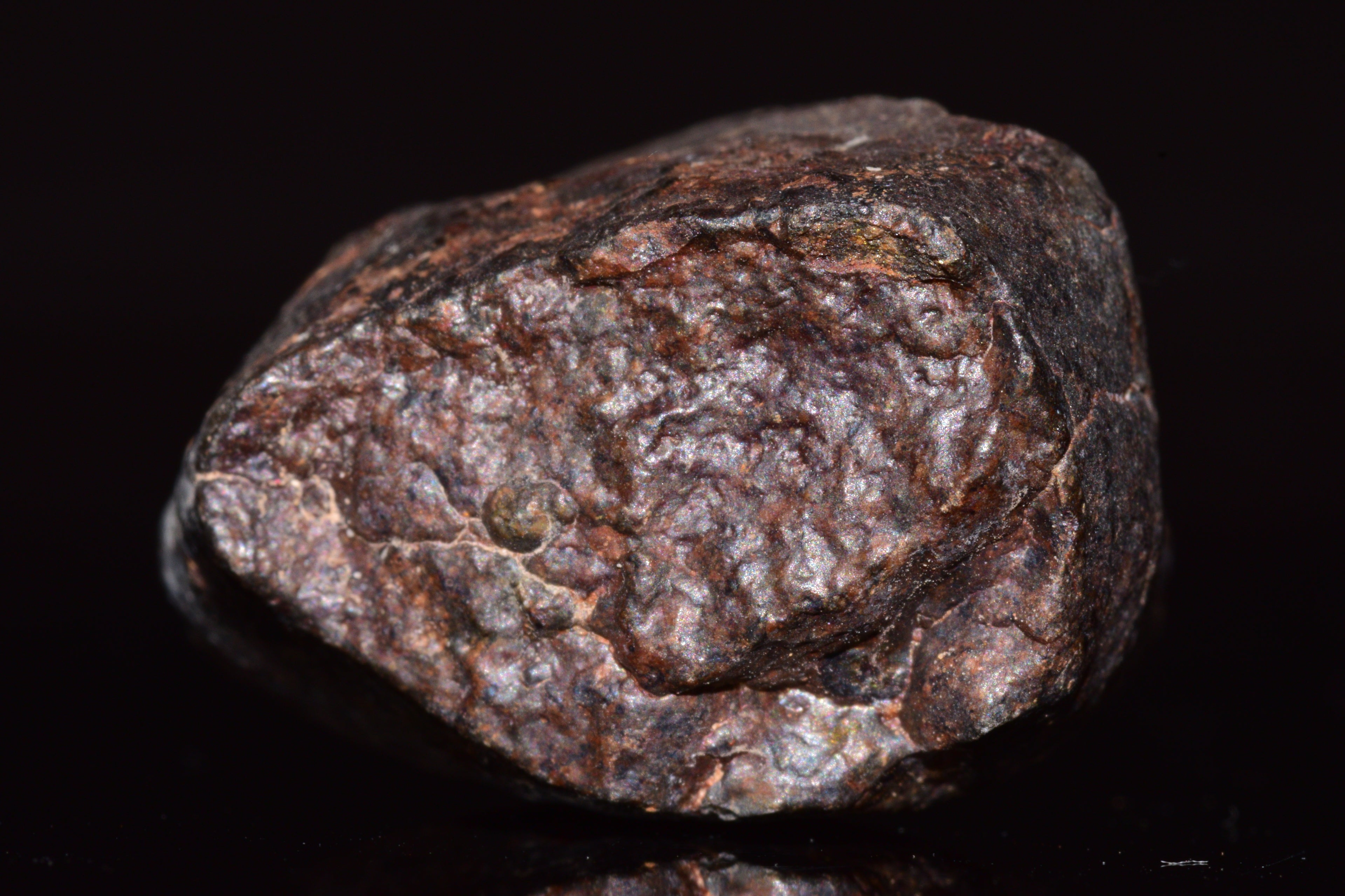 Unclassified Chondrite Meteorite Complete fragment