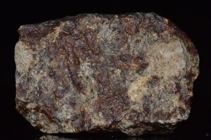 Unclassified Chondrite Meteorite Complete fragment