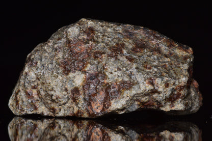 Unclassified Chondrite Meteorite Complete fragment