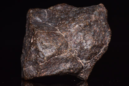 Unclassified Chondrite Meteorite Complete fragment