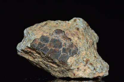 Unclassified Chondrite Meteorite Complete fragment