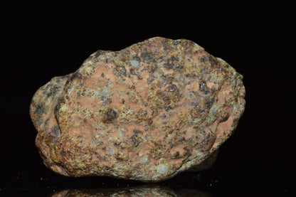 Unclassified Chondrite Meteorite Complete fragment