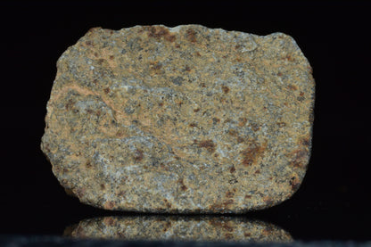 Unclassified Chondrite Meteorite Complete fragment