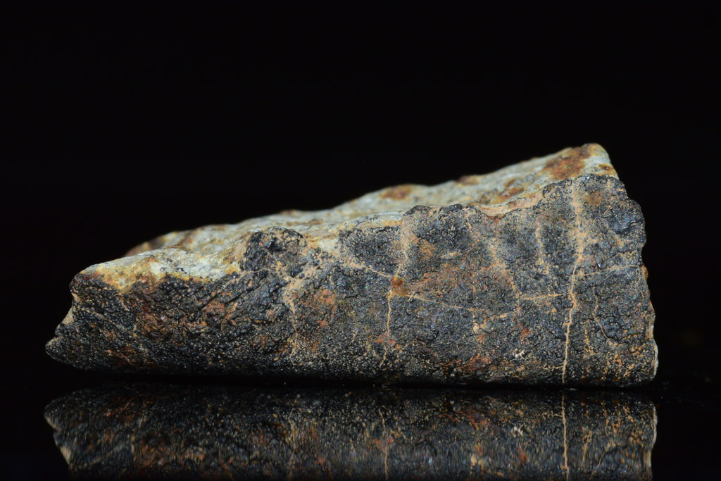 Unclassified Chondrite Meteorite Complete fragment