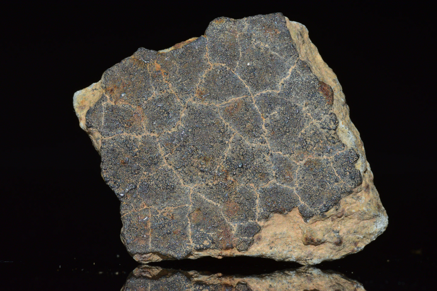 Unclassified Chondrite Meteorite Complete fragment