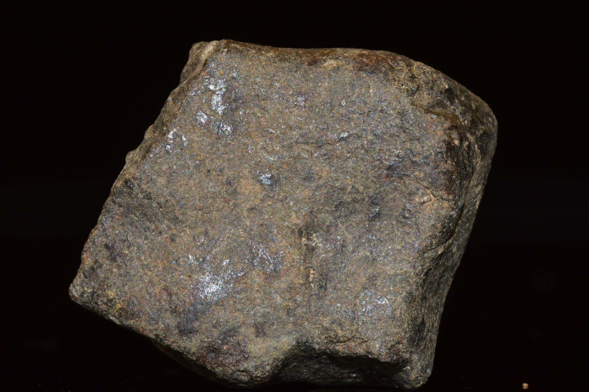Unclassified Chondrite Meteorite Complete fragment