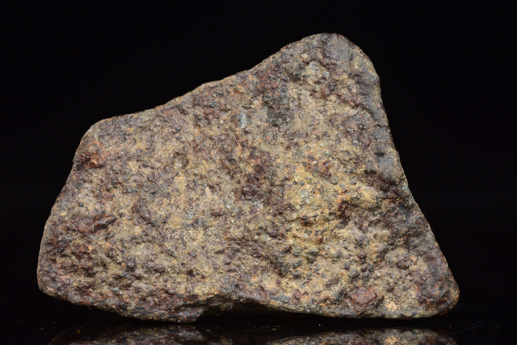 Unclassified Chondrite Meteorite Complete fragment
