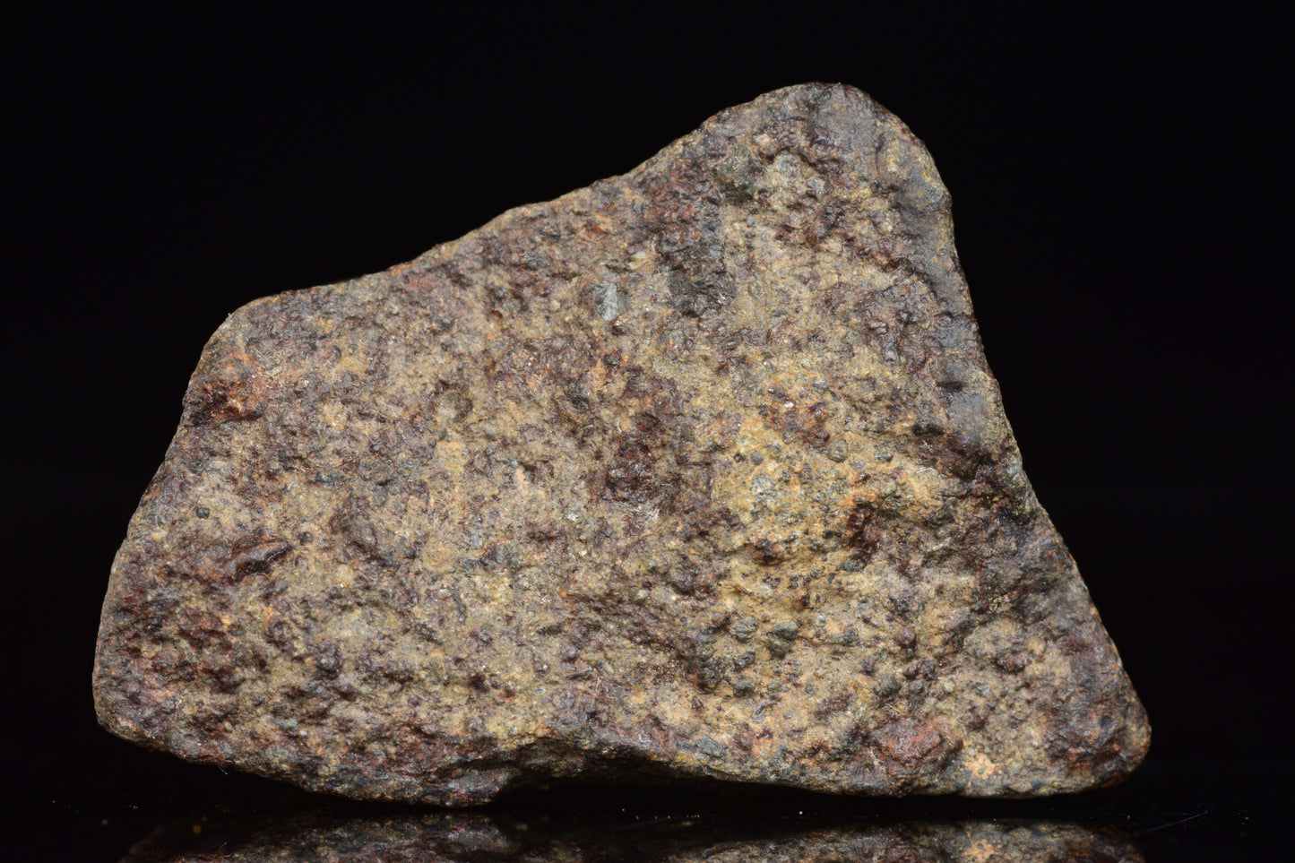Unclassified Chondrite Meteorite Complete fragment