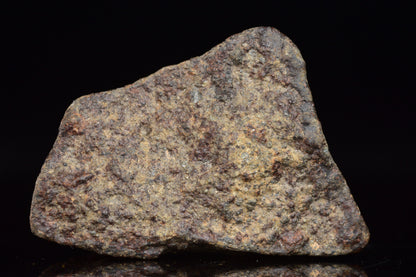Unclassified Chondrite Meteorite Complete fragment