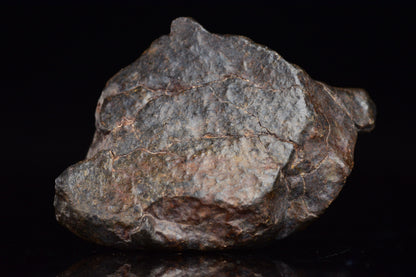 Unclassified Chondrite Meteorite Complete fragment