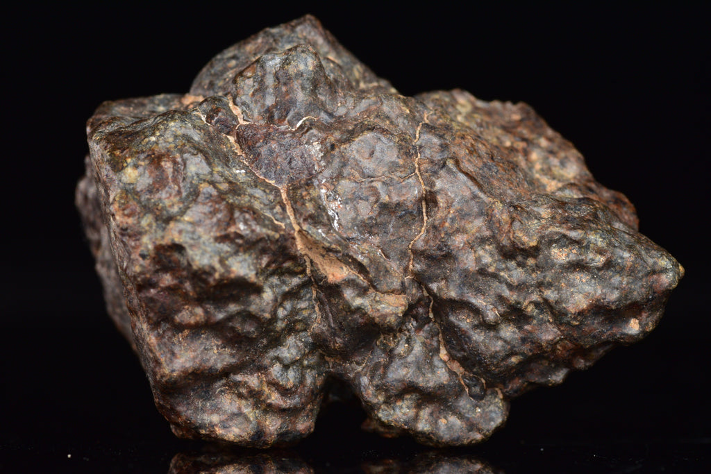 Unclassified Chondrite Meteorite Complete fragment