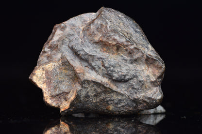 Unclassified Chondrite Meteorite Complete fragment