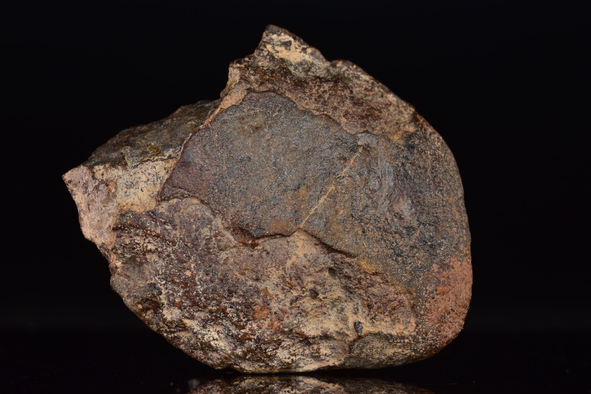 Unclassified Chondrite Meteorite Complete fragment