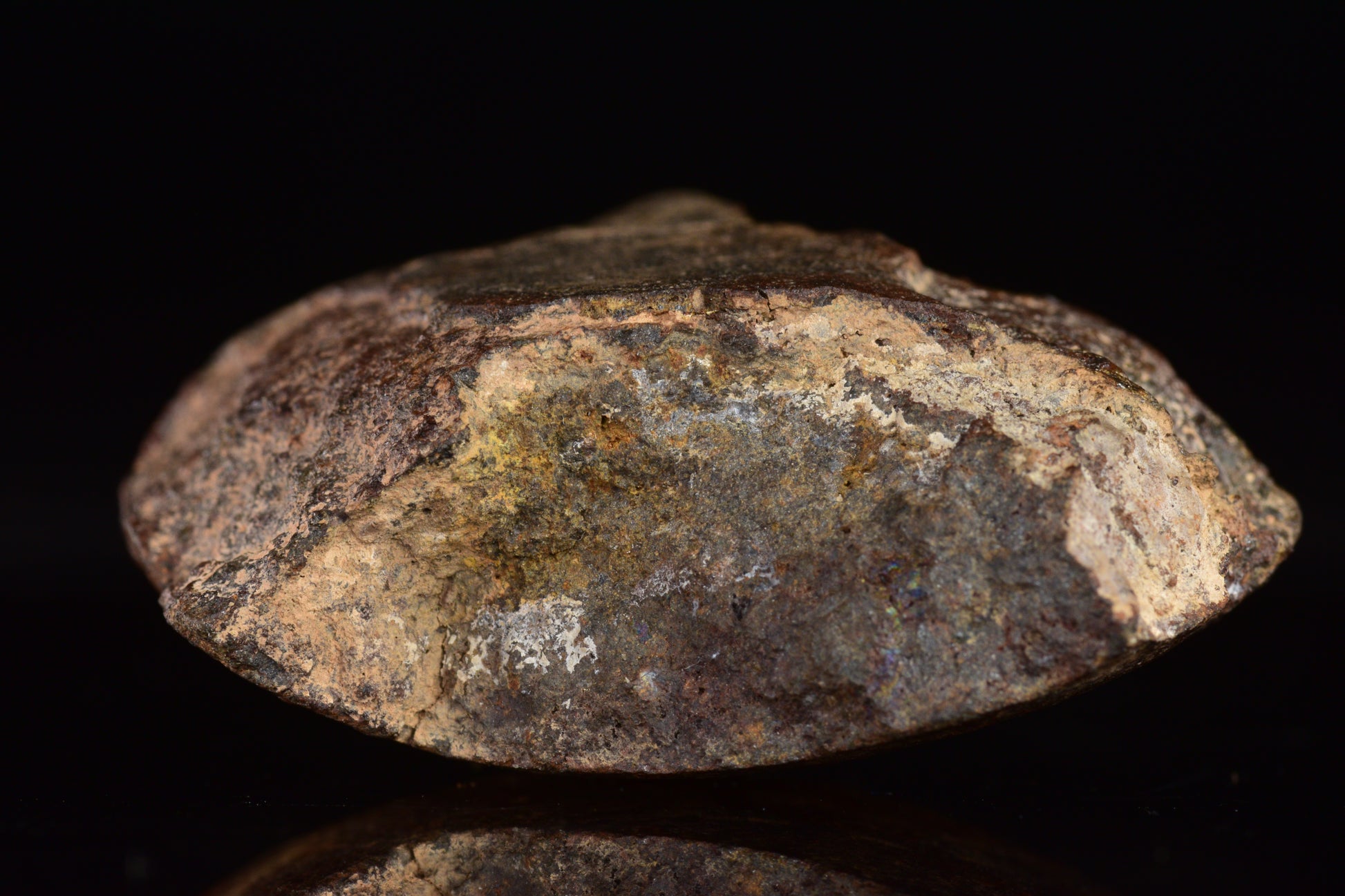 Unclassified Chondrite Meteorite Complete fragment