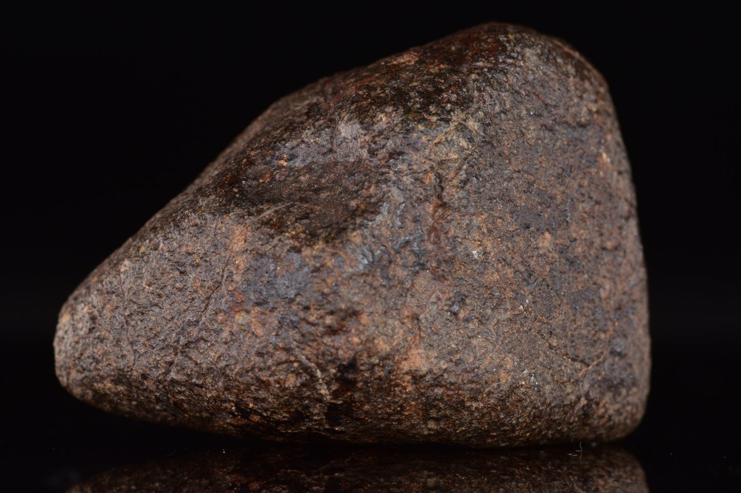 Unclassified Chondrite Meteorite Complete fragment