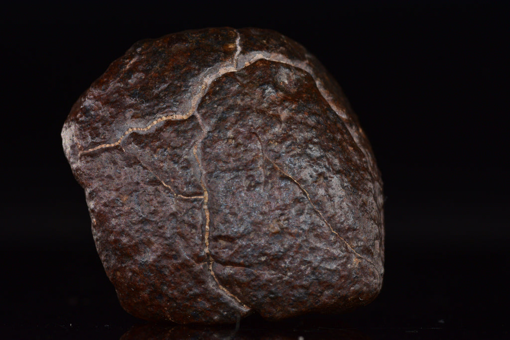 Unclassified Chondrite Meteorite Complete fragment