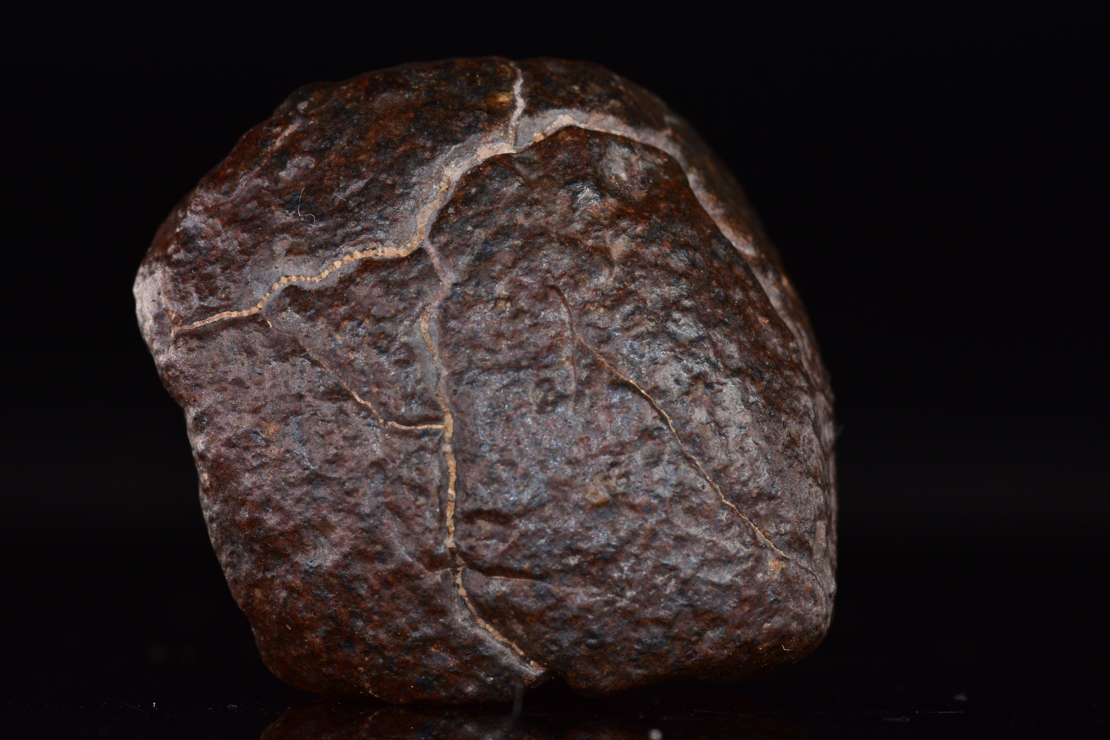 Unclassified Chondrite Meteorite Complete fragment