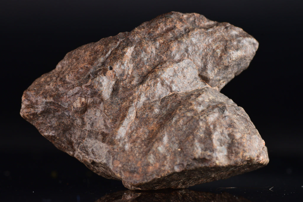 Unclassified Chondrite Meteorite Complete fragment
