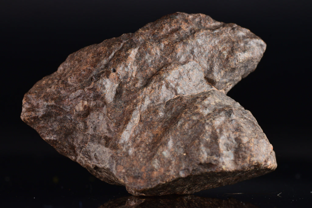 Unclassified Chondrite Meteorite Complete fragment