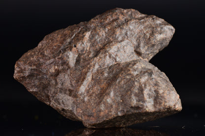 Unclassified Chondrite Meteorite Complete fragment