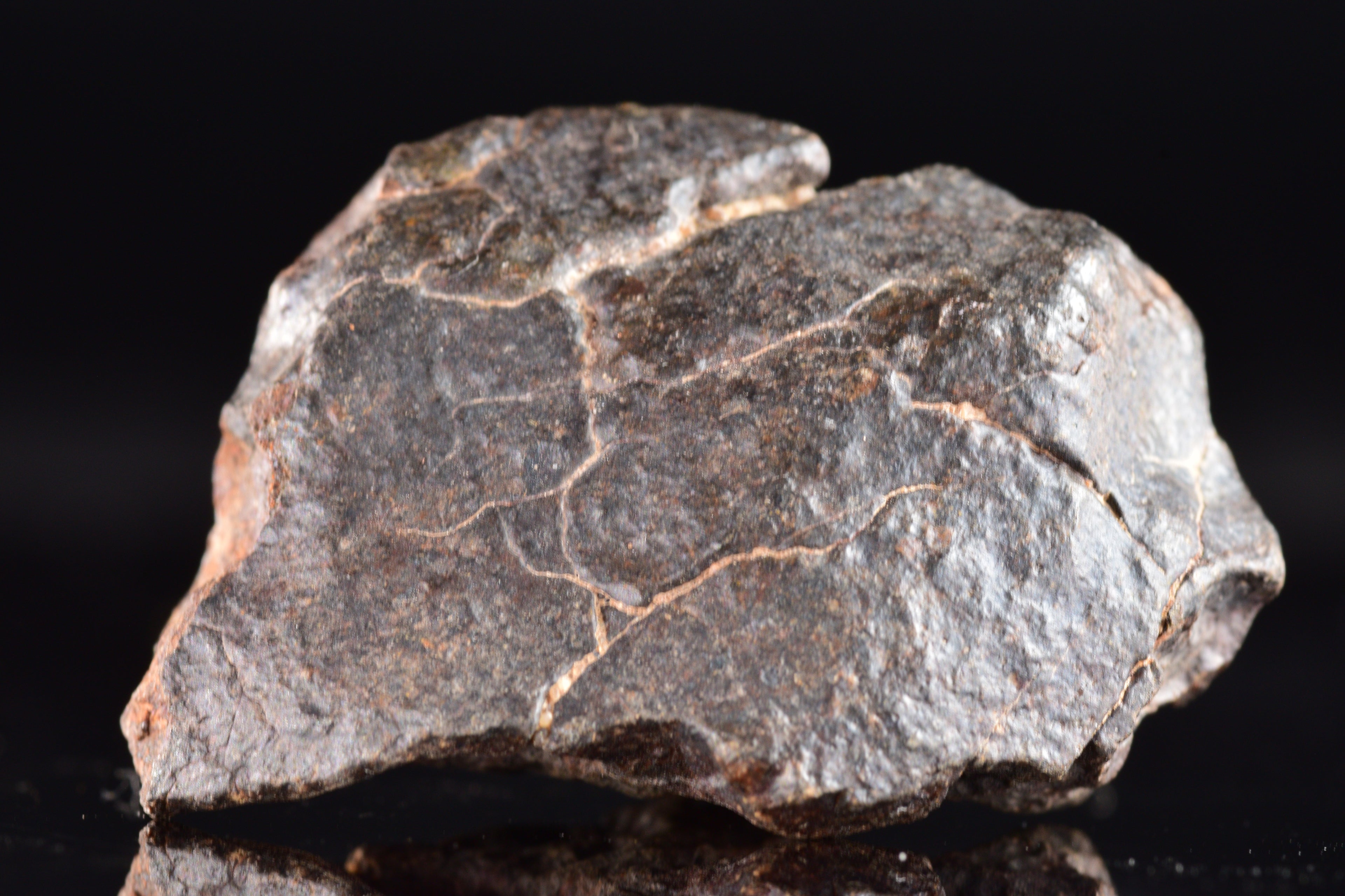 Unclassified Chondrite Meteorite Complete fragment