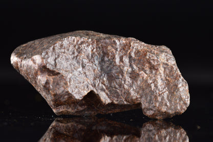 Unclassified Chondrite Meteorite Complete fragment