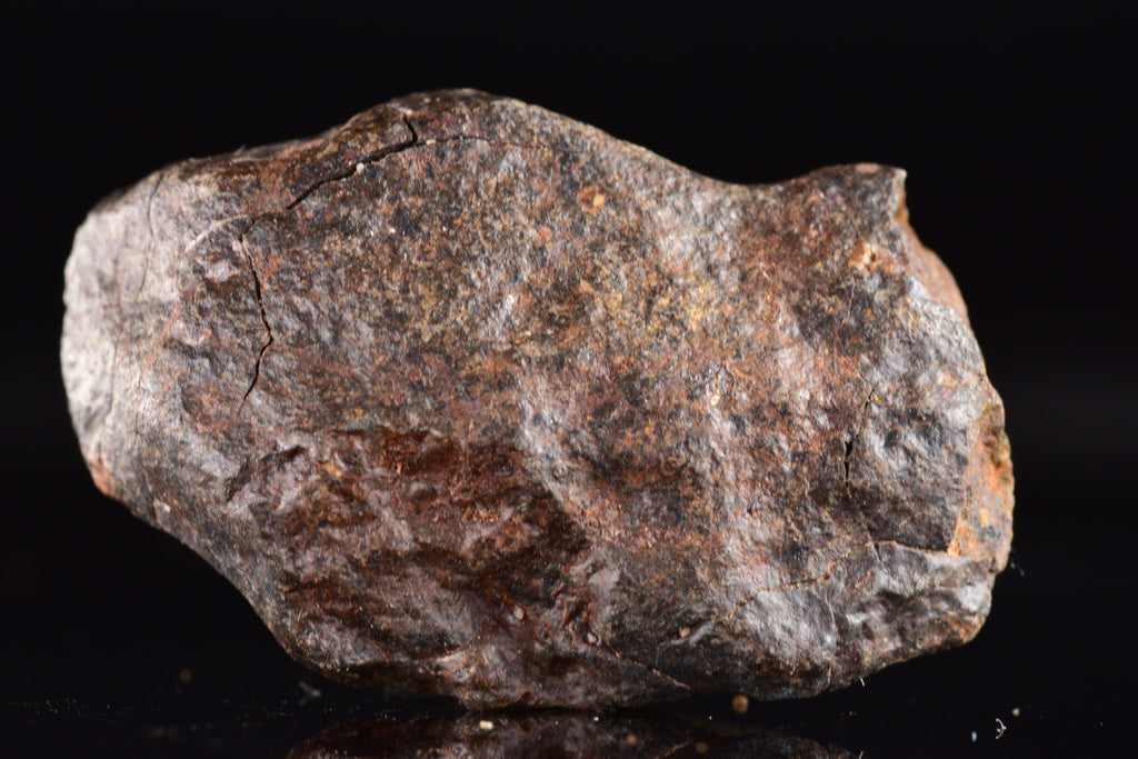 Unclassified Chondrite Meteorite Complete fragment
