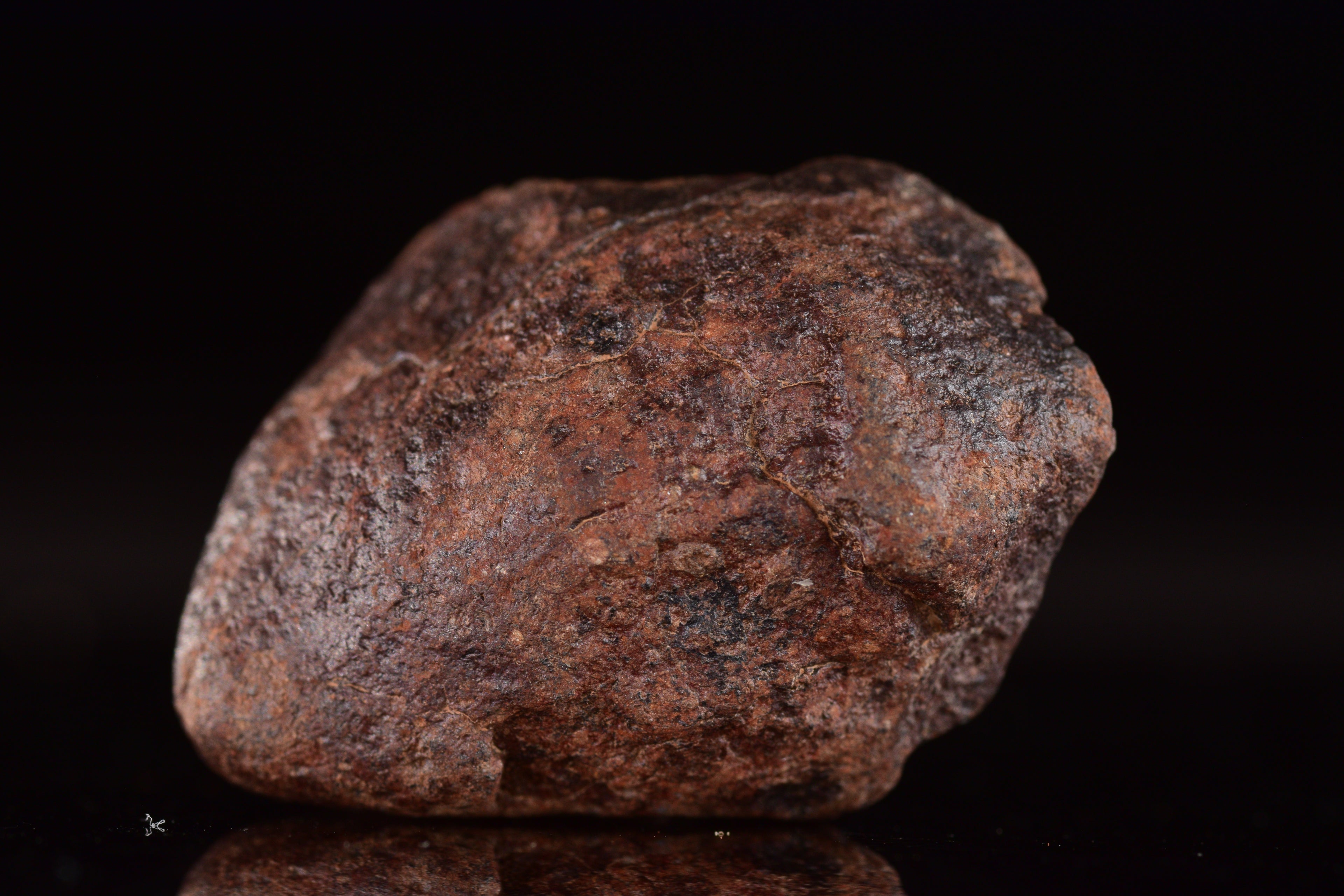 Unclassified Chondrite Meteorite Complete fragment