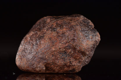 Unclassified Chondrite Meteorite Complete fragment