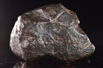 Unclassified Chondrite Meteorite Complete fragment