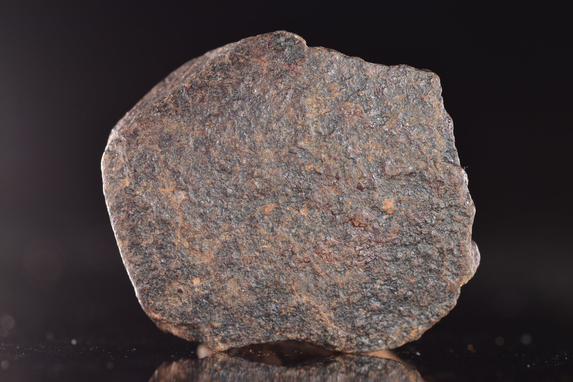 Unclassified Chondrite Meteorite Complete fragment