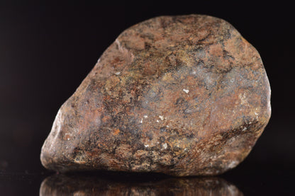 Unclassified Chondrite Meteorite Complete fragment