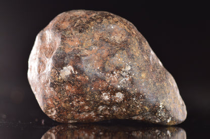 Unclassified Chondrite Meteorite Complete fragment