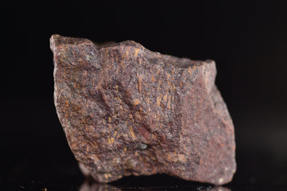 Unclassified Chondrite Meteorite Complete fragment