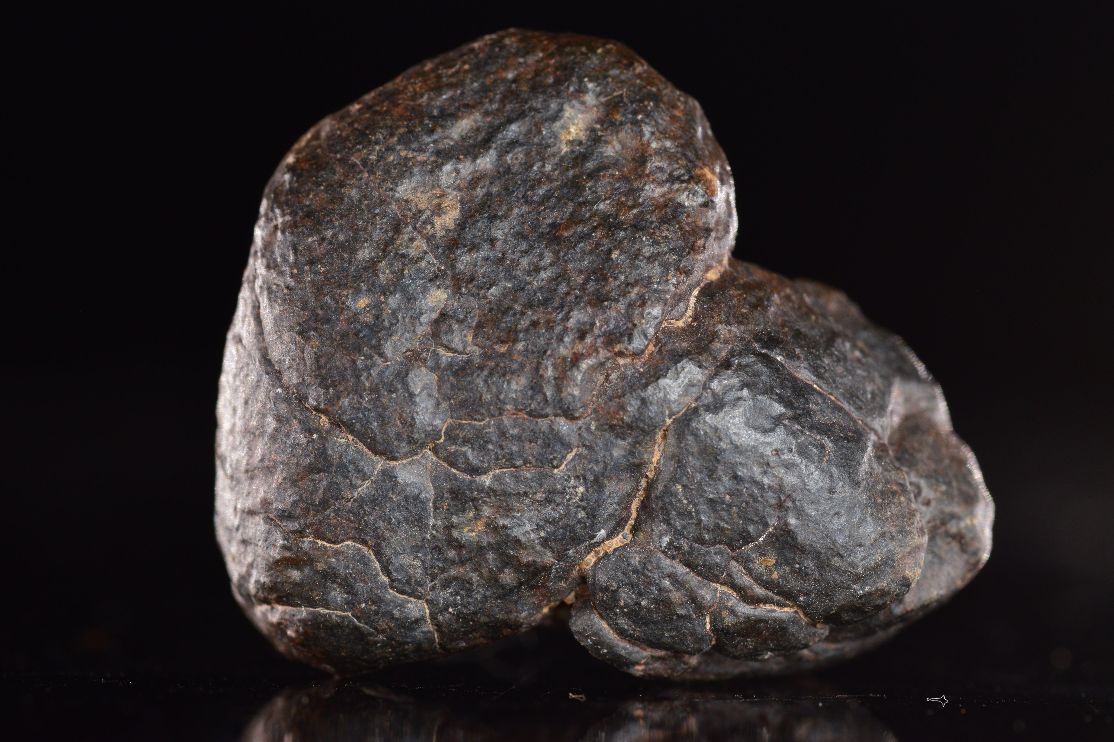 Unclassified Chondrite Meteorite Complete fragment