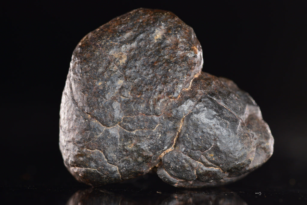 Unclassified Chondrite Meteorite Complete fragment