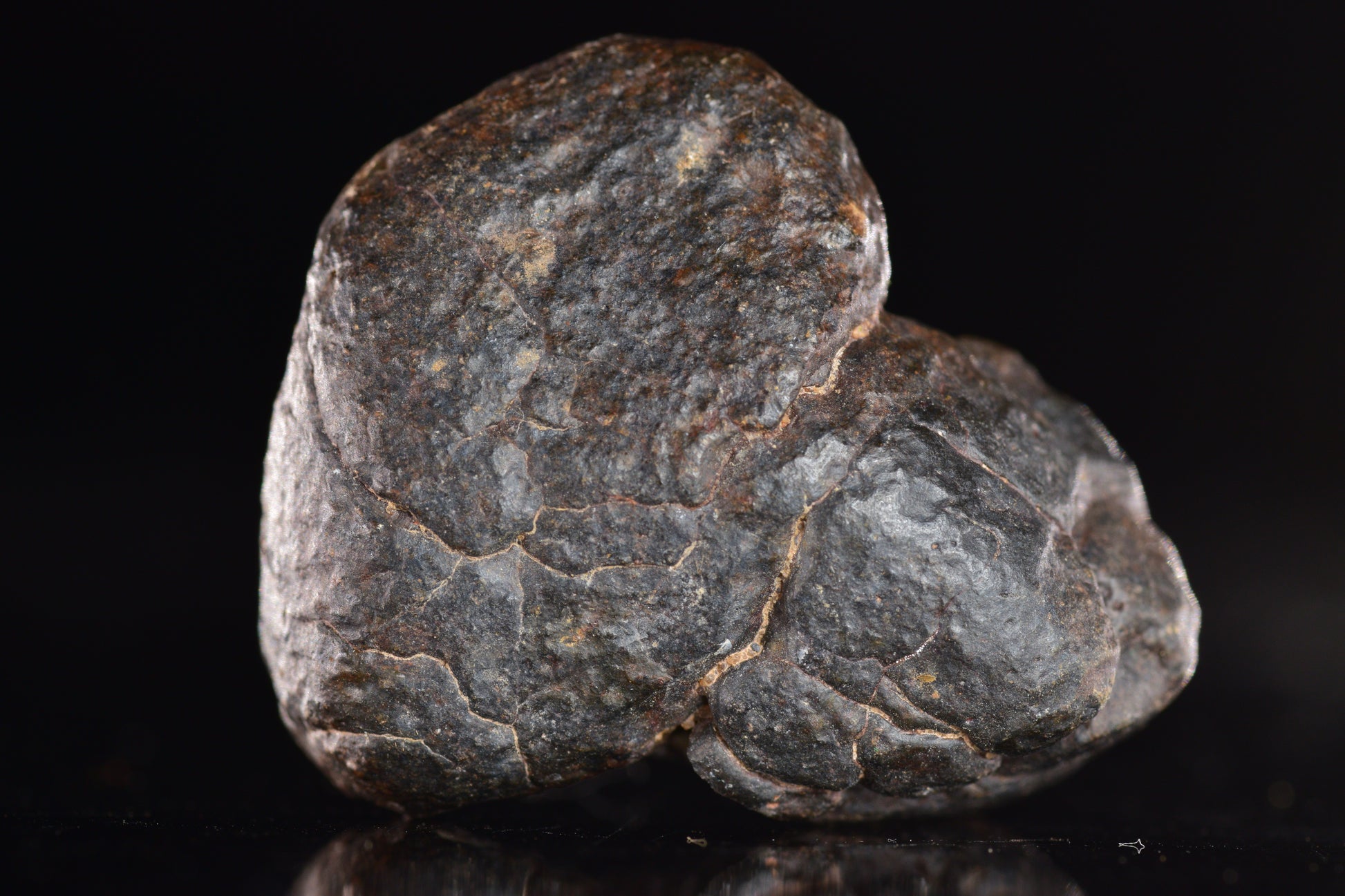 Unclassified Chondrite Meteorite Complete fragment