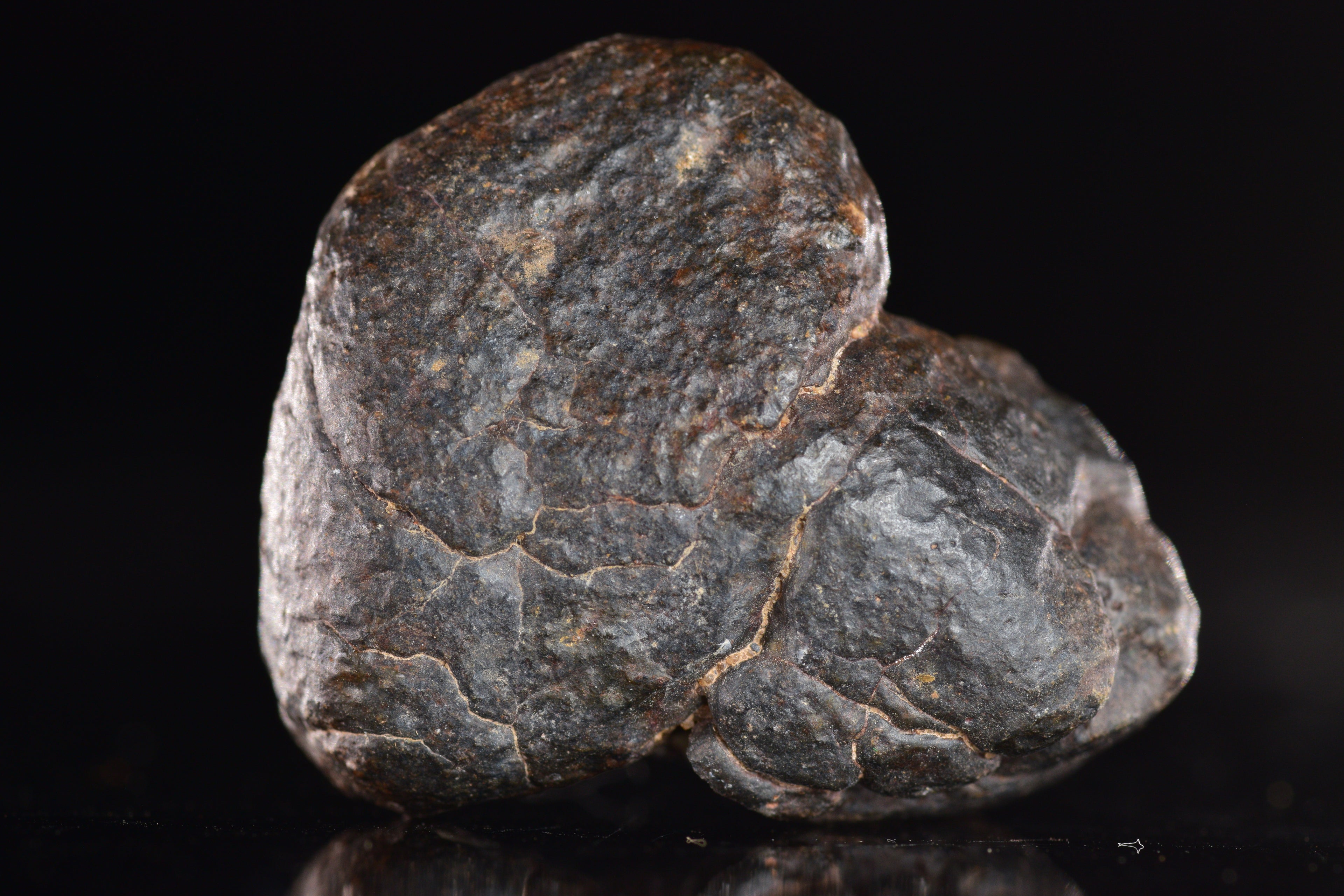 Unclassified Chondrite Meteorite Complete fragment