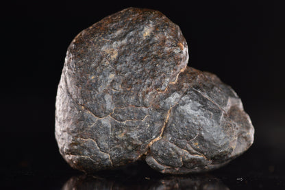 Unclassified Chondrite Meteorite Complete fragment