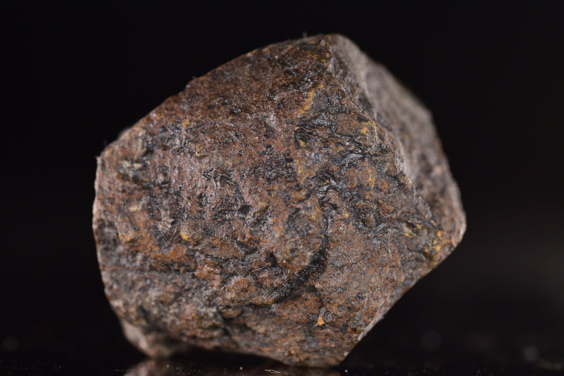 Unclassified Chondrite Meteorite Complete fragment