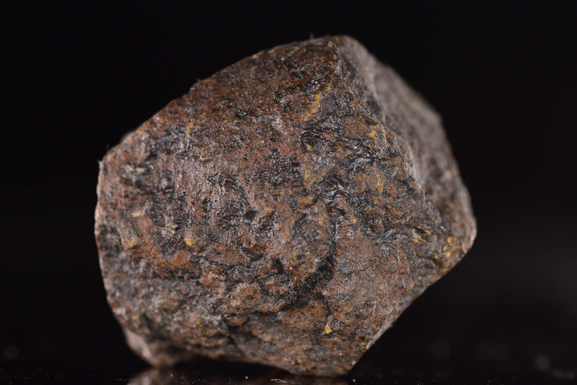 Unclassified Chondrite Meteorite Complete fragment