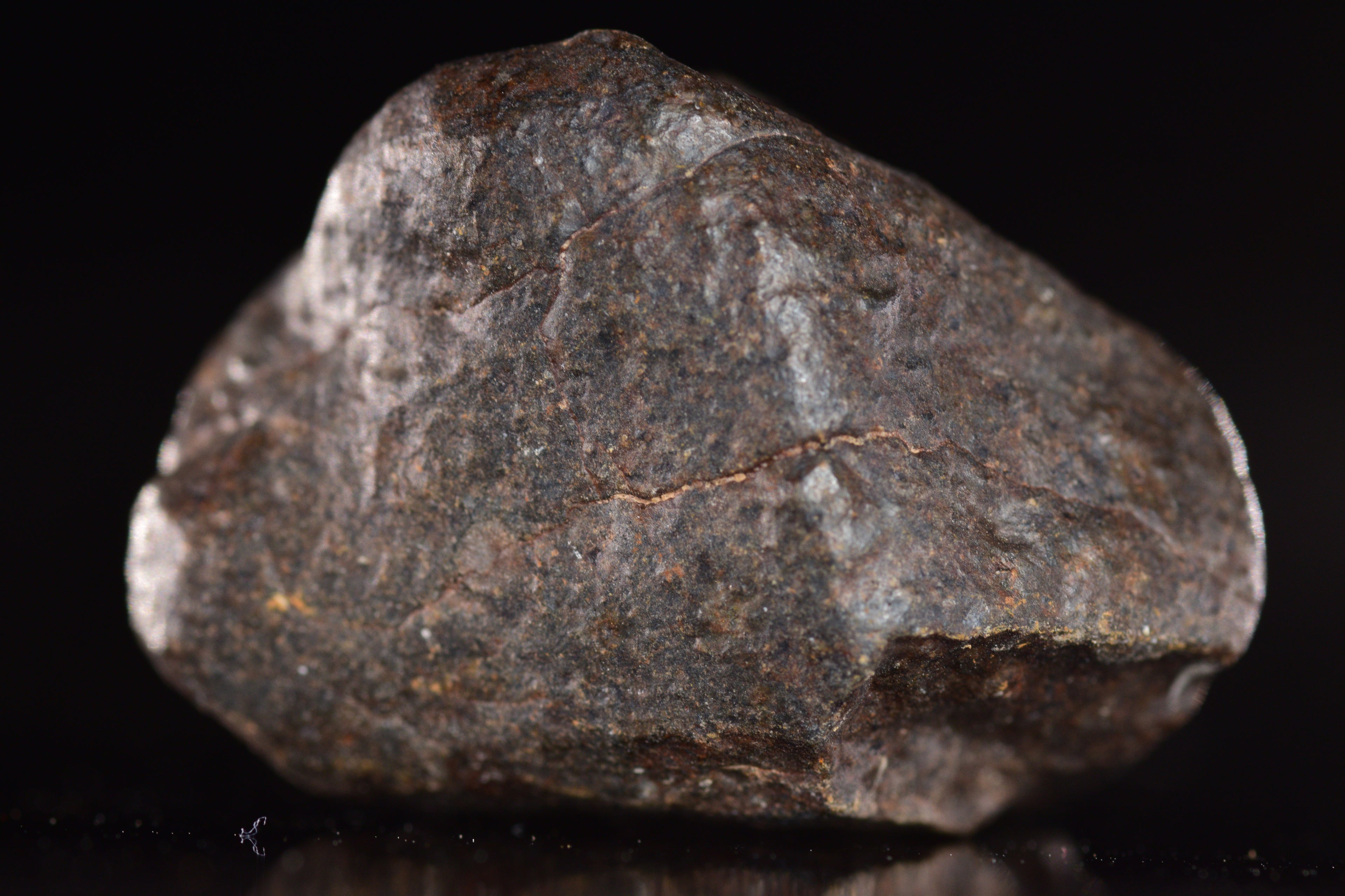 Unclassified Chondrite Meteorite Complete fragment