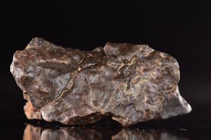 Unclassified Chondrite Meteorite Complete fragment