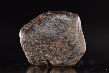 Unclassified Chondrite Meteorite Complete fragment