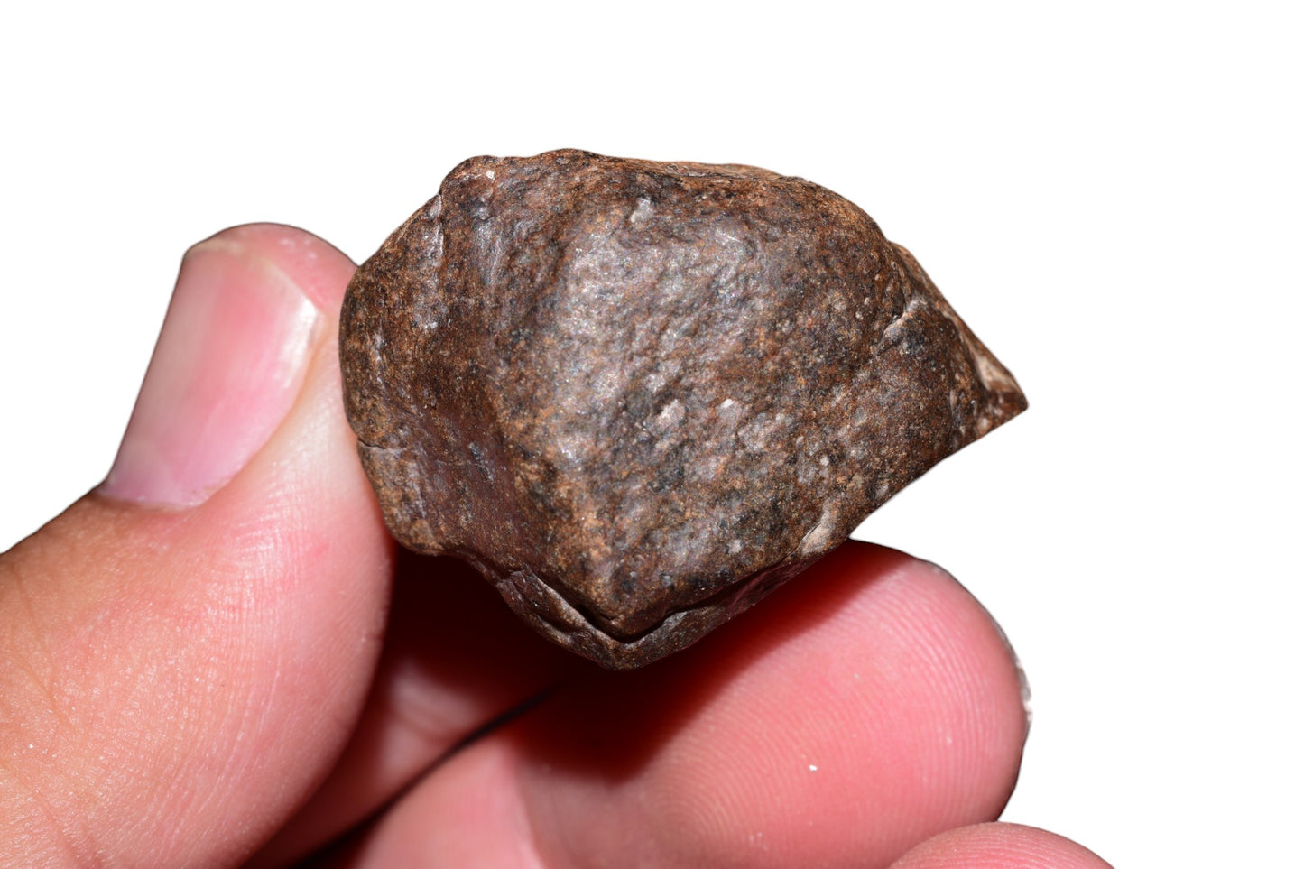 Unclassified meteorite 34.2g — bottom view showing texture