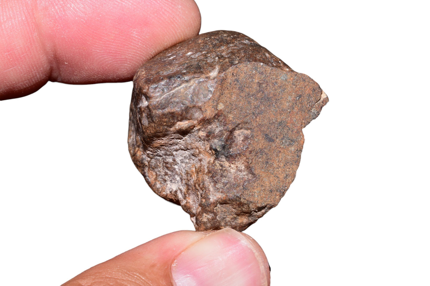 Unclassified meteorite 34.2g — front view showing fusion crust