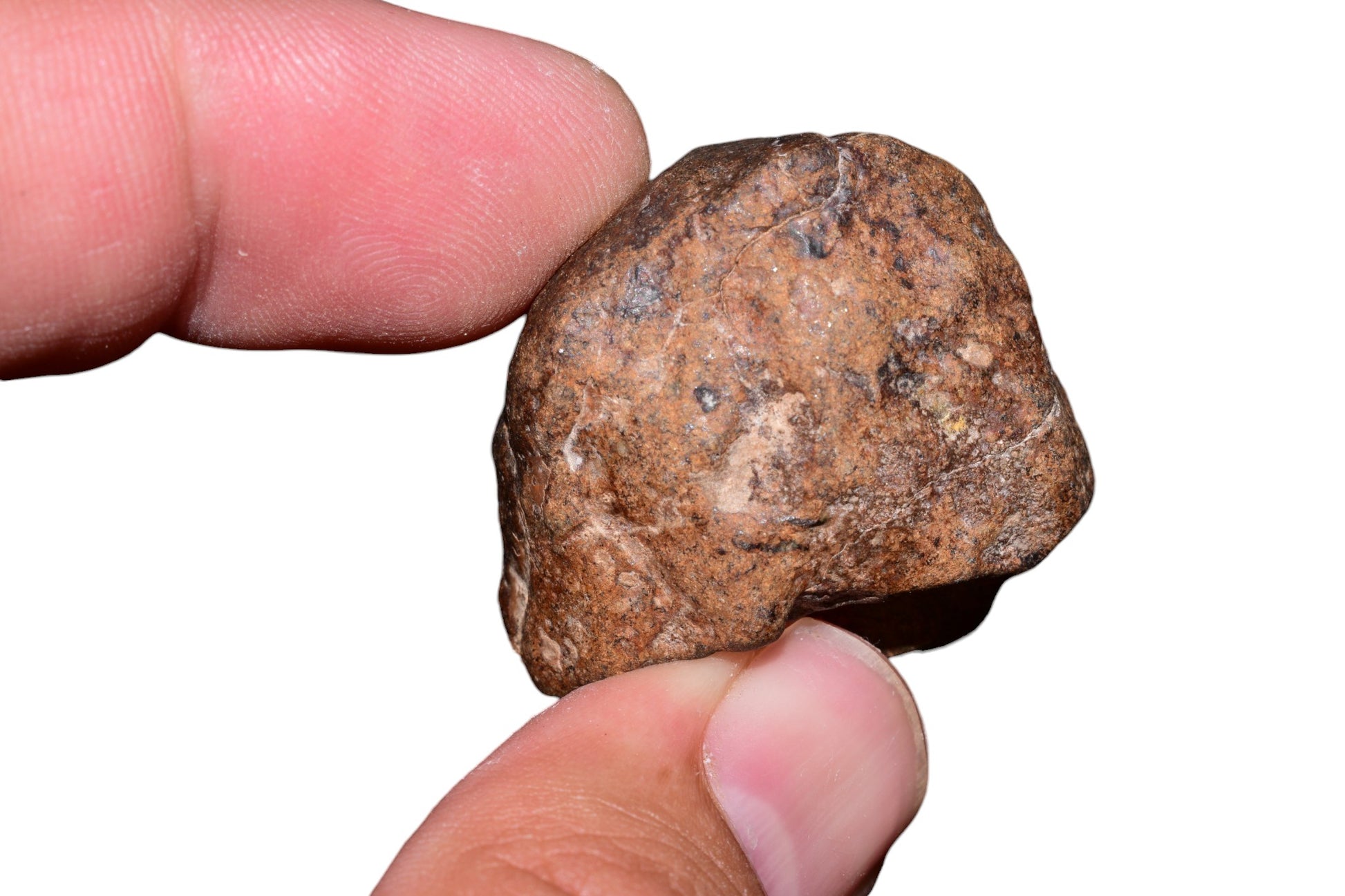 nclassified meteorite 34.2g — reverse view